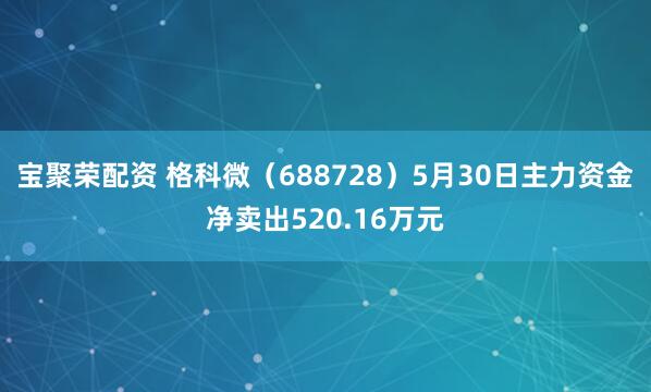 宝聚荣配资 格科微（688728）5月30日主力资金净卖出520.16万元
