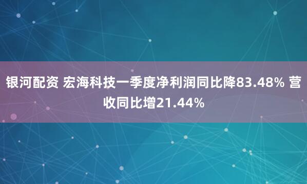 银河配资 宏海科技一季度净利润同比降83.48% 营收同比增21.44%